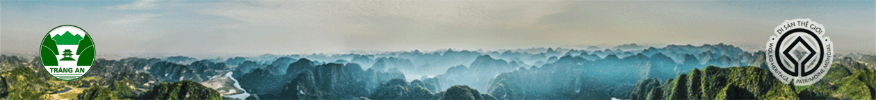 image banner