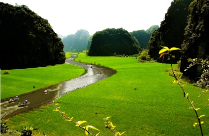 Tam Cốc mùa lúa chín - Cơ hội vàng cho các nhiếp ảnh gia 1