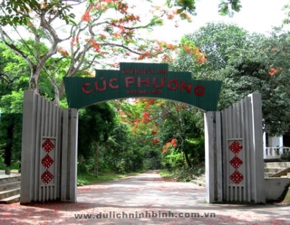 Ninh Bình - Bái Đính - Tràng An - Cúc Phương 3