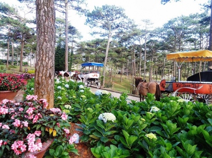 Sáu điểm du lịch không thể bỏ qua trong kì nghỉ lễ Giỗ tổ Hùng Vương 6