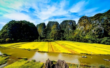 Sắc vàng Tam Cốc – Tràng An - 2020 2