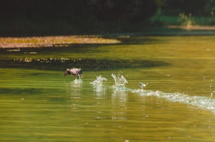 Vẻ đẹp Tràng An qua bốn mùa 9