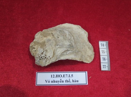 Số hoá bảo tồn các hiện vật, góp phần gìn giữ và phát huy các giá trị Di sản Văn hóa và thiên nhiên thế giới Quần thể danh thắng Tràng An 3