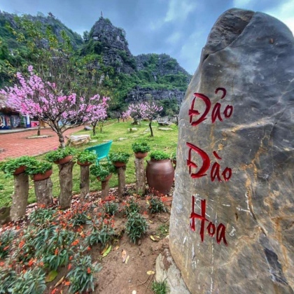 Ninh Bình – điểm đến an toàn, lý tưởng cho mùa xuân Tân Sửu - 2021 5