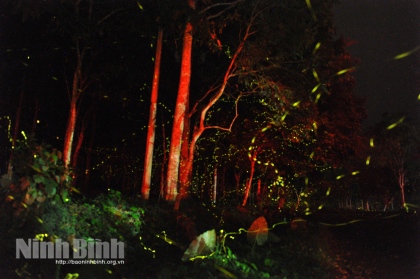 Các khu, điểm du lịch chuẩn bị chu đáo cho dịp khai mạc Năm Du lịch Quốc gia 2