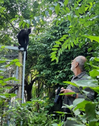 Ninh Bình: Cá thể voọc đặc hữu quý hiếm được sinh sản tại Tràng An 2