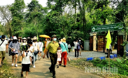 Du lịch Ninh Bình sôi động trong dịp lễ giỗ Tổ 5