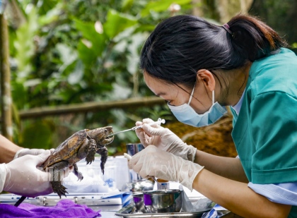 Ninh Bình phát triển du lịch gắn với bảo tồn đa dạng sinh học 7