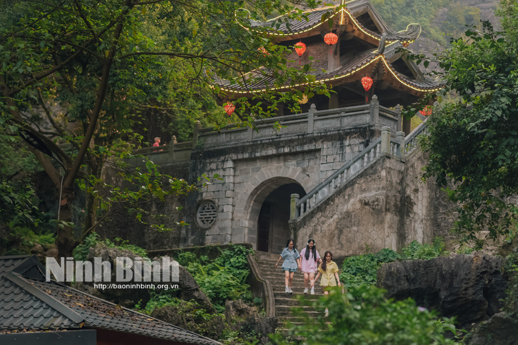 Động Am Tiên Tuyệt tình cốc