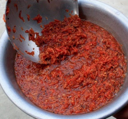 Mắm tép Gia Viễn 2