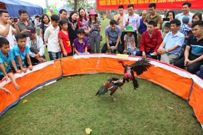 Sôi nổi các hoạt động văn hóa, thể thao tại lễ hội Hoa Lư 5