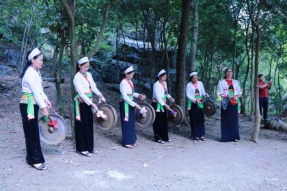 Mãn nhãn sắc vàng Tam Cốc trong tuần lễ du lịch Ninh Bình 7