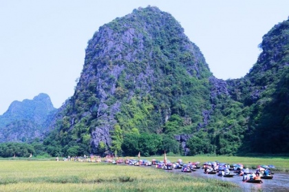 Mãn nhãn sắc vàng Tam Cốc trong tuần lễ du lịch Ninh Bình 8