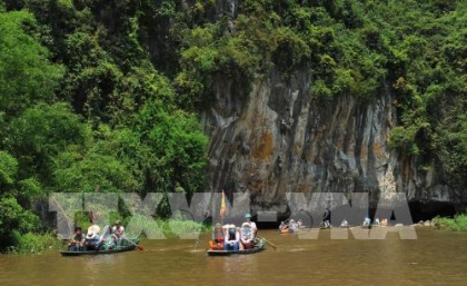 Mùa vàng Tam Cốc đẹp nao lòng 4