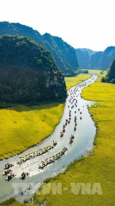 Mùa vàng Tam Cốc đẹp nao lòng 5