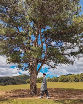 Dọc miền đất nước khám phá cảnh đẹp Ninh Bình, Huế, Đà Lạt 12