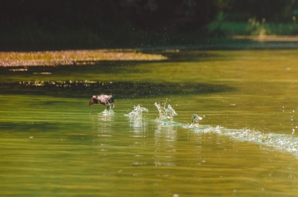 Sông nước Tràng An trong lành những sớm mai 5