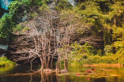 Sông nước Tràng An trong lành những sớm mai 18