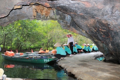 Tận mắt rừng vối cổ thụ hàng nghìn cây giữa vùng lõi di sản Tràng An 5