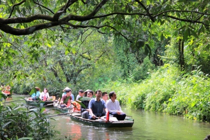 Tận mắt rừng vối cổ thụ hàng nghìn cây giữa vùng lõi di sản Tràng An 13