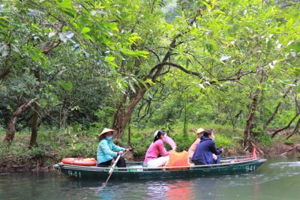 Tận mắt rừng vối cổ thụ hàng nghìn cây giữa vùng lõi di sản Tràng An 14