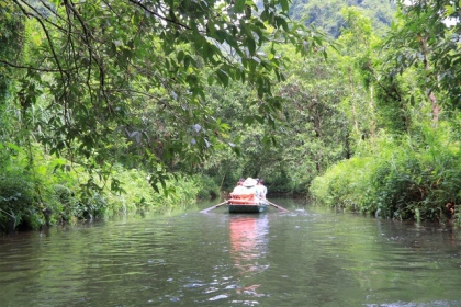 Tận mắt rừng vối cổ thụ hàng nghìn cây giữa vùng lõi di sản Tràng An 20