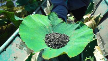 Du khách thích thú với trà, ẩm thực từ sen tươi giữa mùa Đông ở Ninh Bình 6