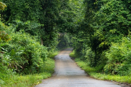 Có một Ninh Bình tràn ngập mỹ cảnh qua lăng kính của nhiếp ảnh gia chuyên nghiệp 6