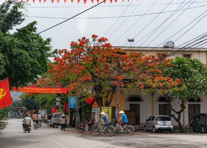 Có một Ninh Bình tràn ngập mỹ cảnh qua lăng kính của nhiếp ảnh gia chuyên nghiệp 11