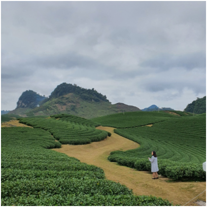 Đoàn công tác của tỉnh nghiên cứu khảo sát phát triển du lịch nông thôn tại hai tỉnh Sơn La và Điện Biên 3