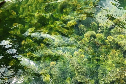 Cuối tuần về với thiên nhiên Tràng An 5