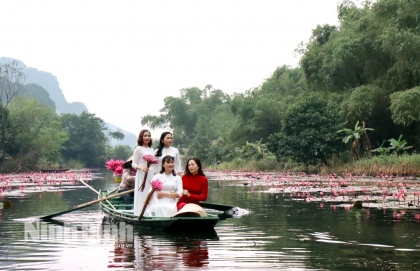 Thung Nắng, mùa hoa súng nở rộ 6