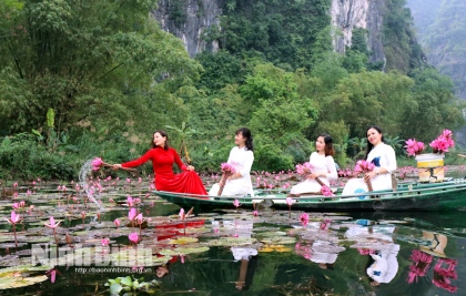 Thung Nắng, mùa hoa súng nở rộ 7