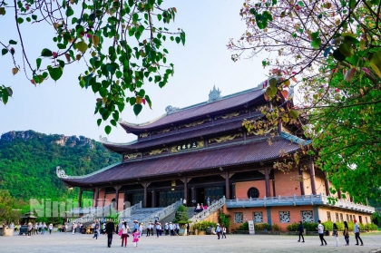 Sắc xuân Ninh Bình 2