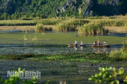 Sắc xuân Ninh Bình 4