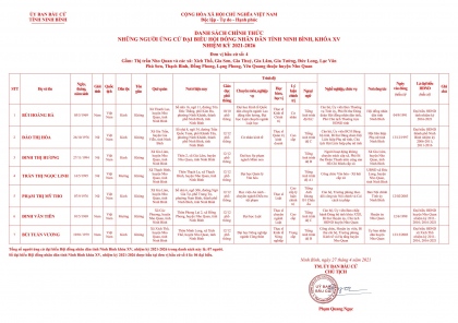 Danh sách chính thức những người ứng cử Đại biểu Hội đồng nhân dân tỉnh Ninh Bình, nhiệm kỳ 2021-2026 4