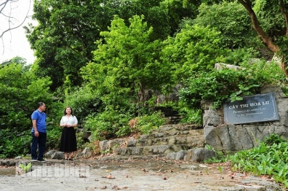 Động Thiên Hà: Điểm đến lý tưởng dành cho du khách ưa khám phá 1