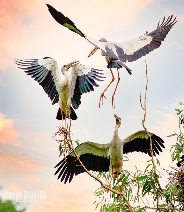 Ninh Bình phát triển du lịch gắn với bảo tồn đa dạng sinh học 3