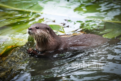 Ninh Bình phát triển du lịch gắn với bảo tồn đa dạng sinh học 4