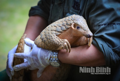 Ninh Bình phát triển du lịch gắn với bảo tồn đa dạng sinh học 6