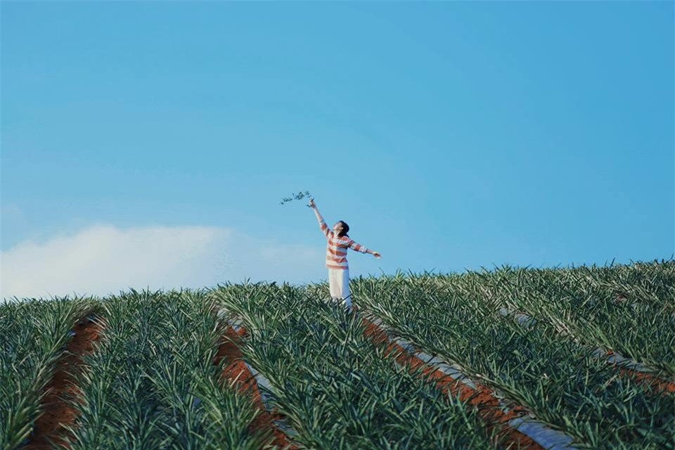 Dia diem du lich Ninh Binh anh 2