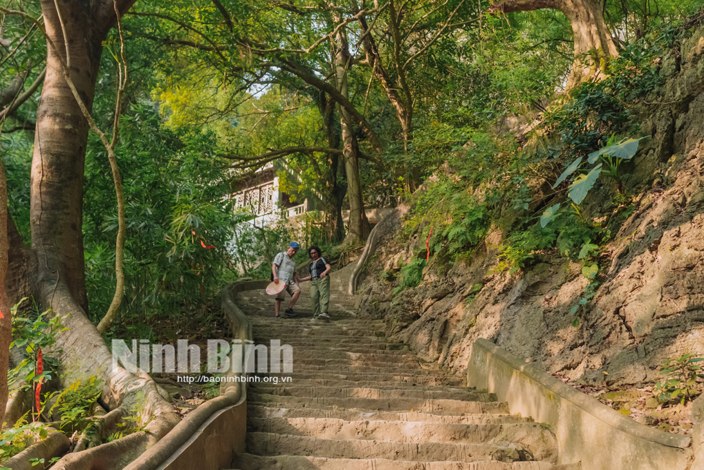 Động Am Tiên Tuyệt tình cốc